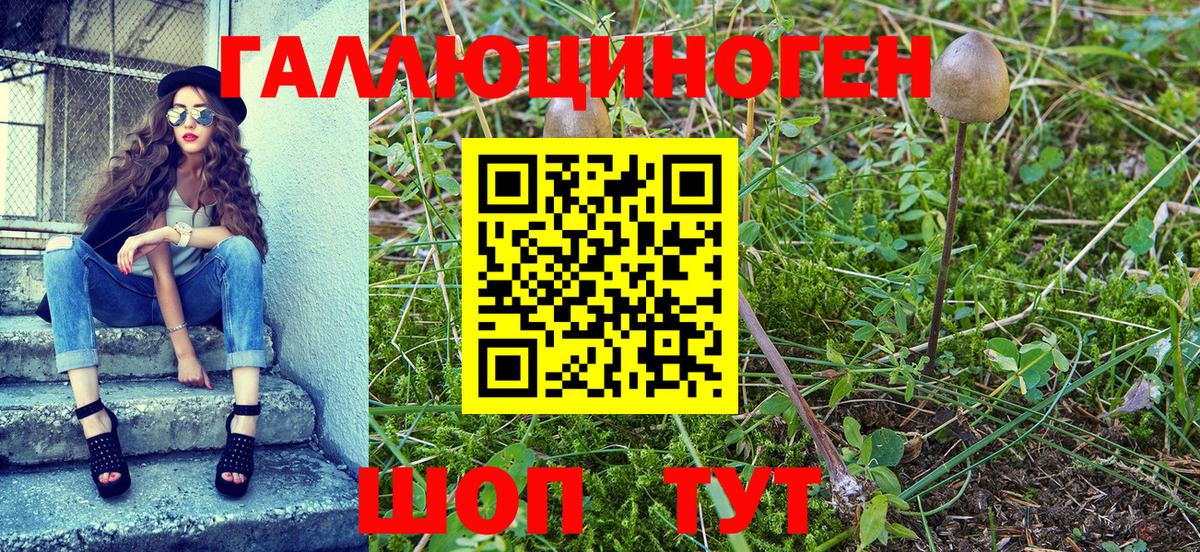 Псилоцибиновые грибы GOLDEN TEACHER  Вход с VPN  Галлюциногенные грибы Psilocybe  Тихвин 